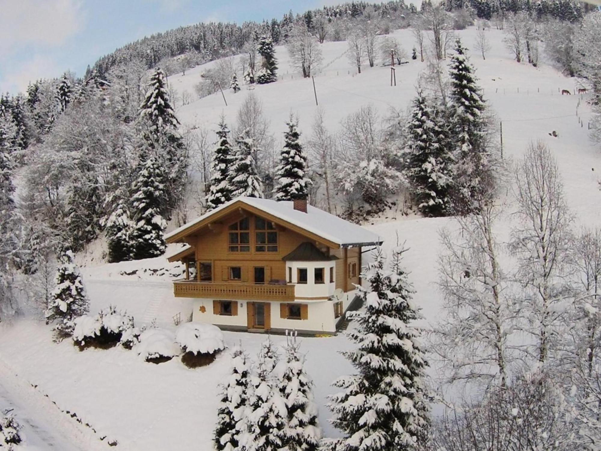 Chalet Huski Viehhofen 萨尔巴赫 外观 照片